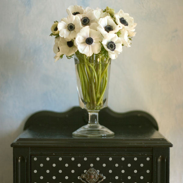 Polka Party Furniture Stencil